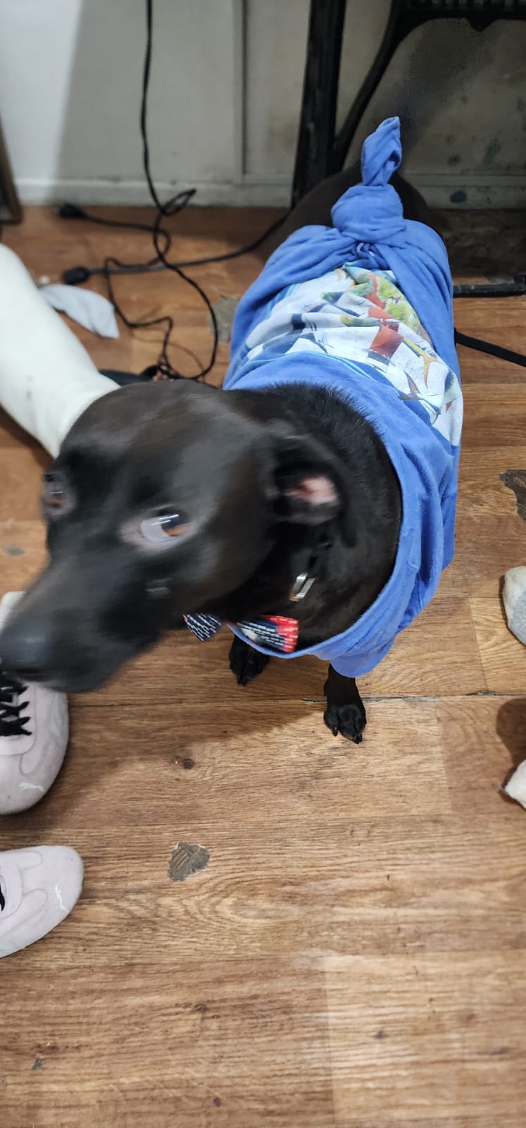 Banner Glow Soft Cloud, bruma hidratante en tonos pastel